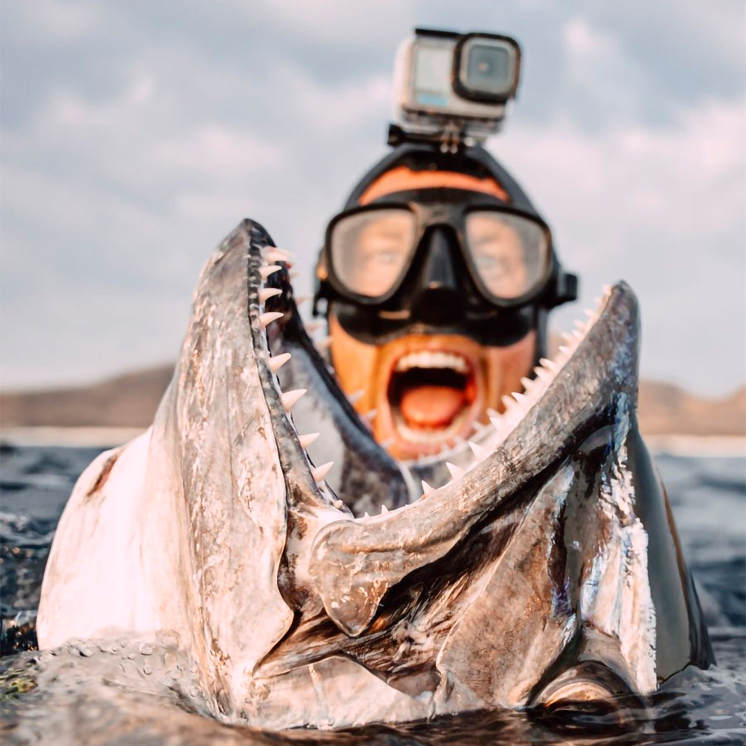 Remote Indonesia Spearfishing Liveaboard Trips