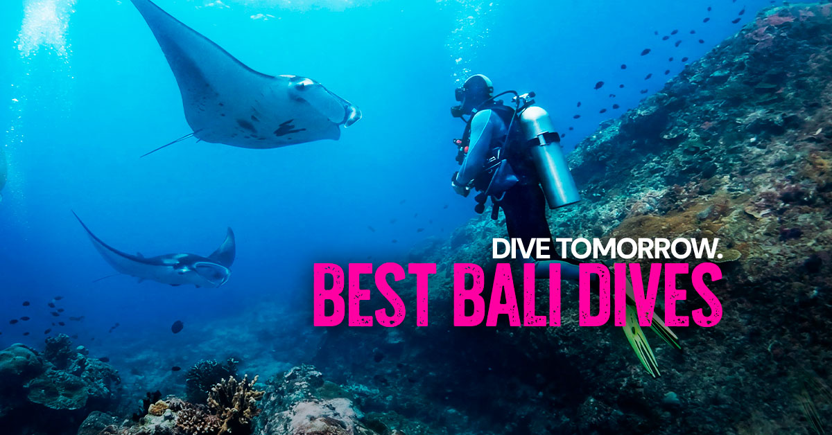 Dive Bookings