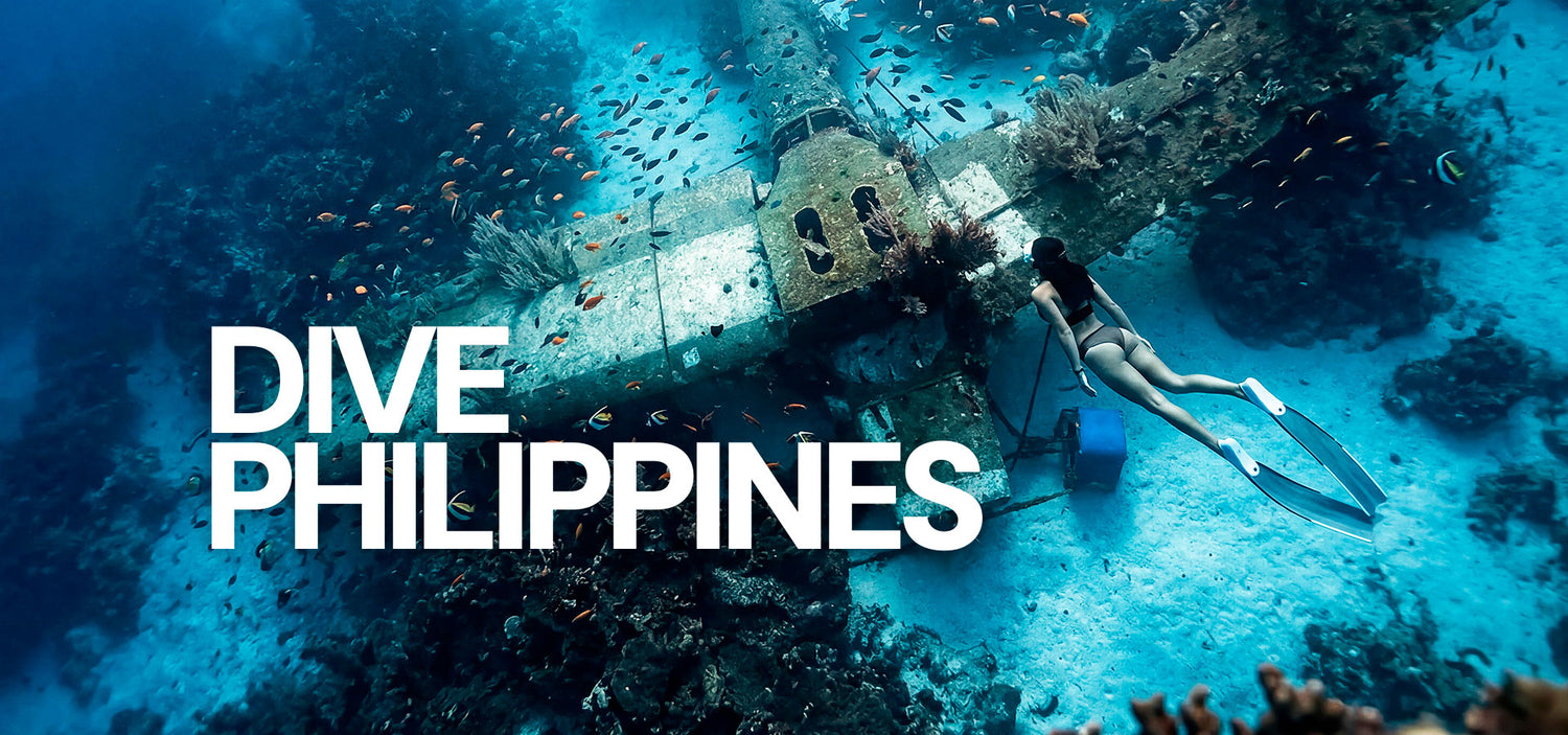Dive Bookings