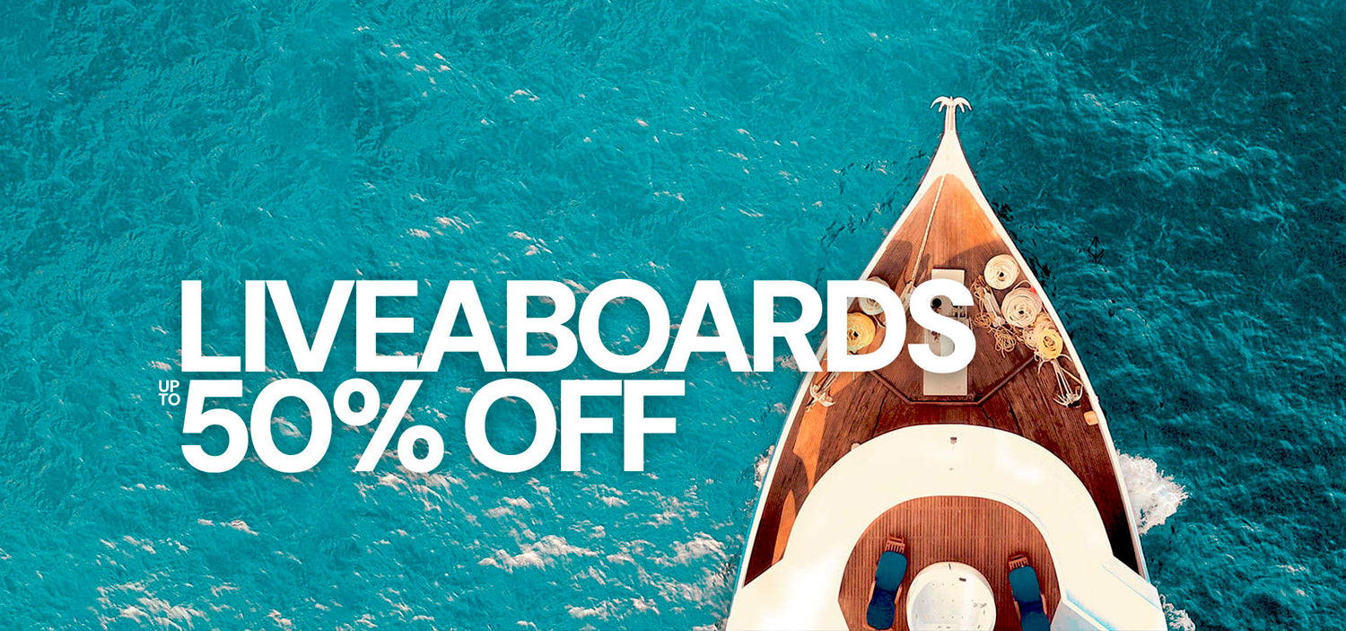 Dive Bookings