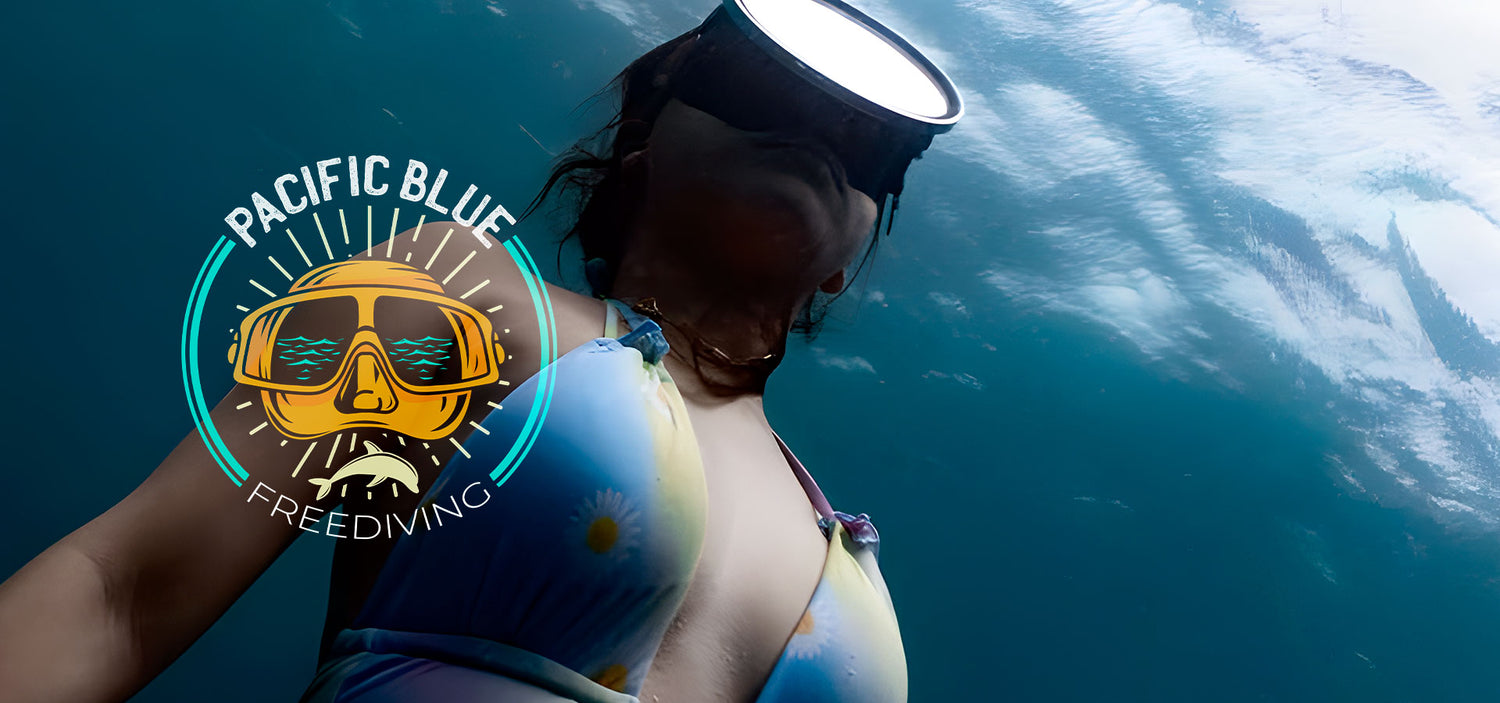 Dive Bookings