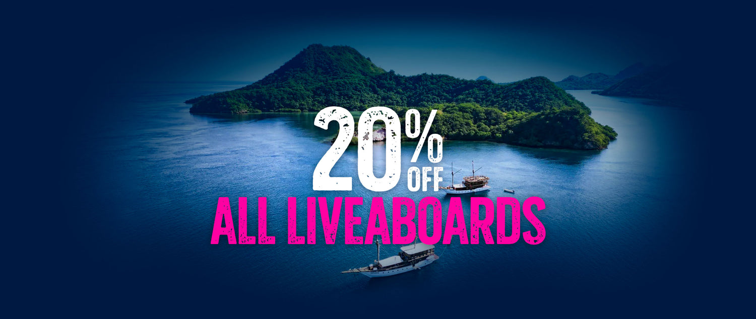 Dive Bookings