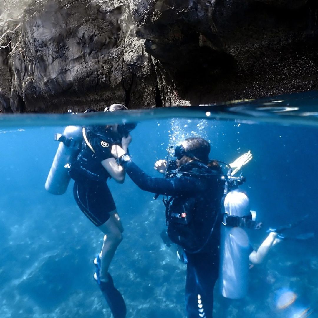 Koh Phi Phi Marine Park Fun Dive Barakuda Dive Phi Phi