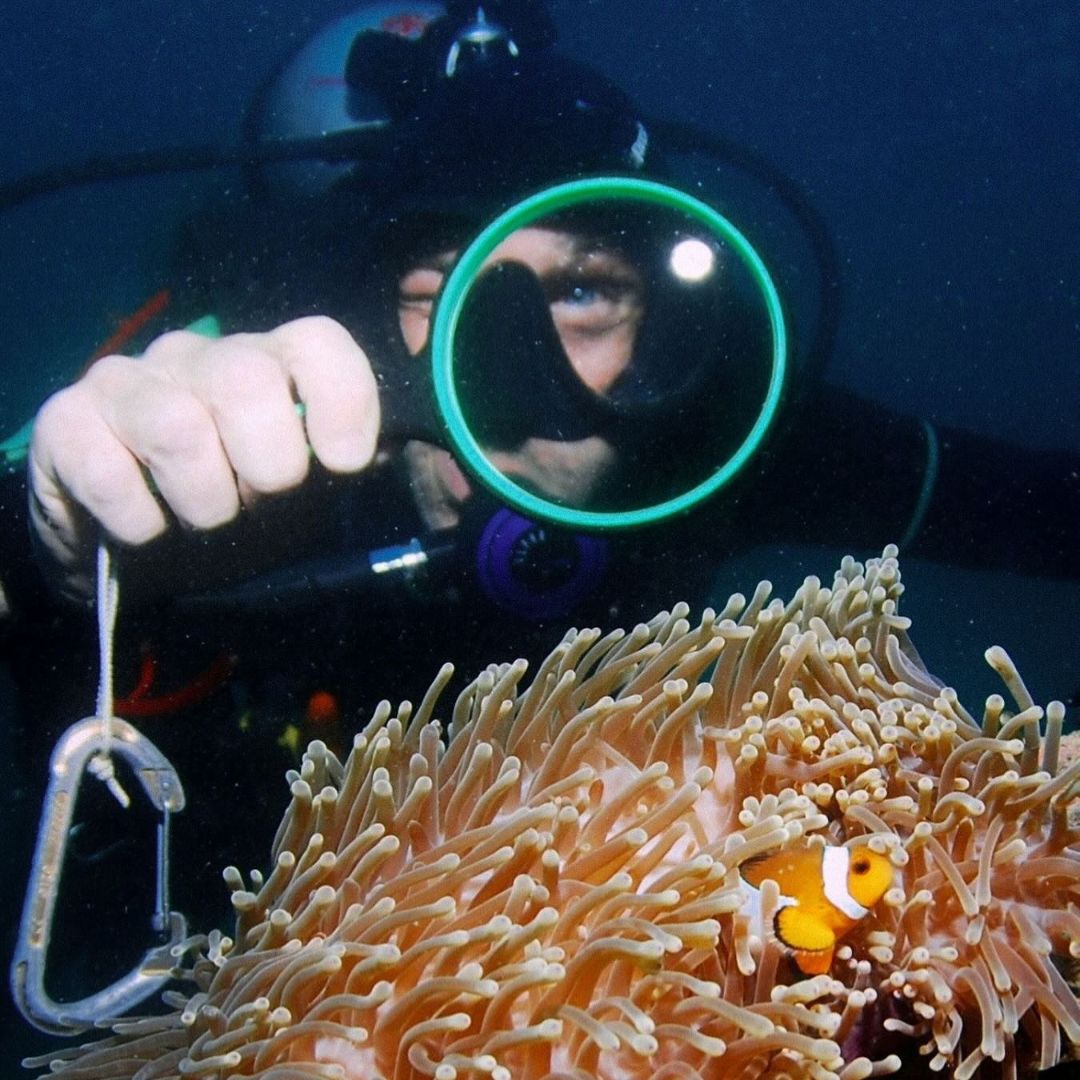 Koh Phi Phi Night Dive Adventure Barakuda Dive Phi Phi