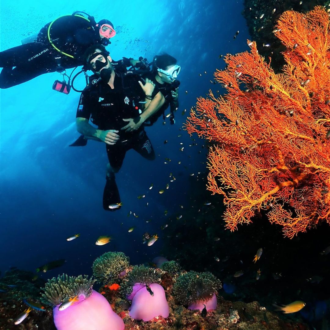 Koh Phi Phi Night Dive Adventure Barakuda Dive Phi Phi