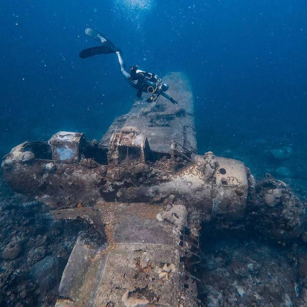 Rock Islands Scuba Diving Liveaboard
