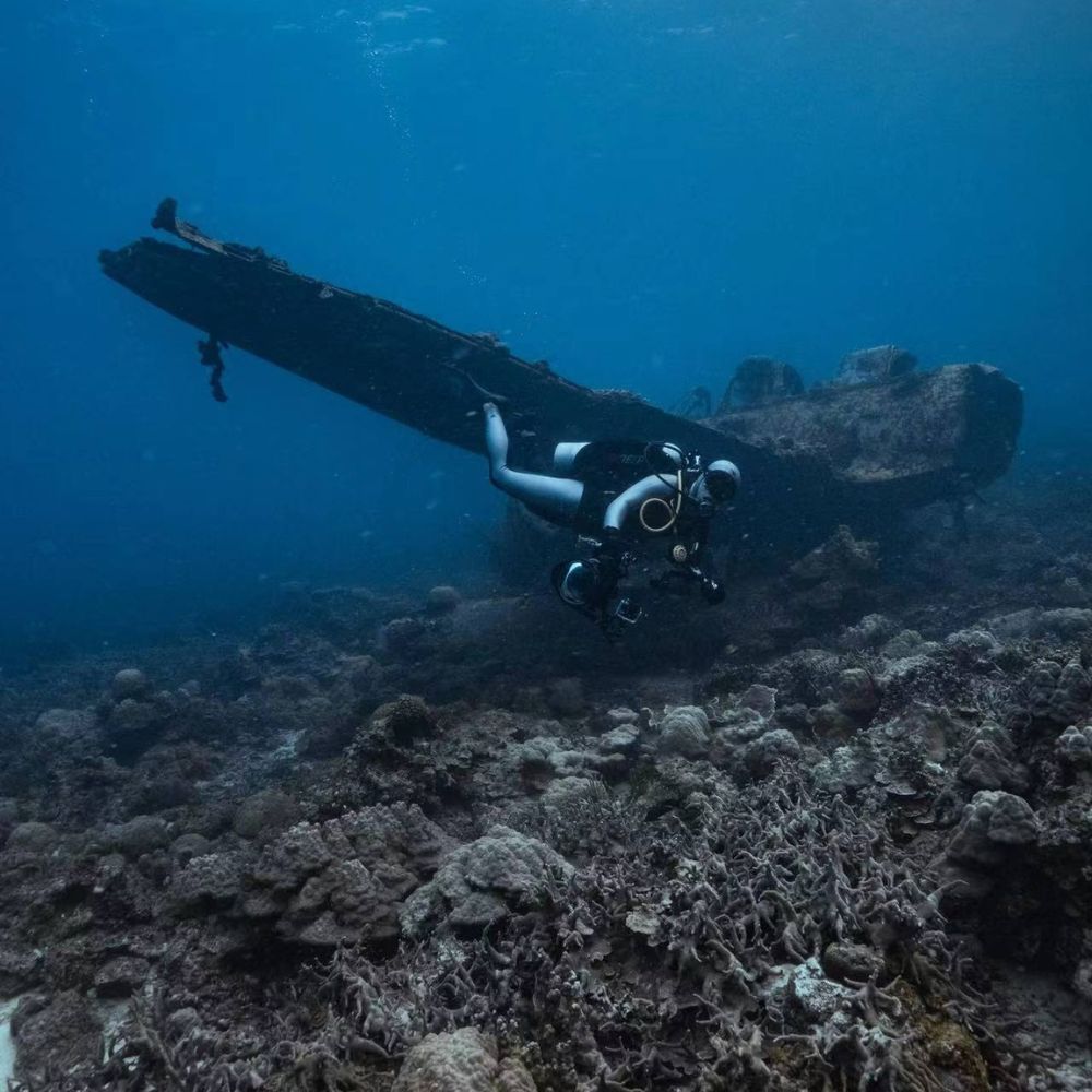 Best of Palau Scuba Diving Liveaboard