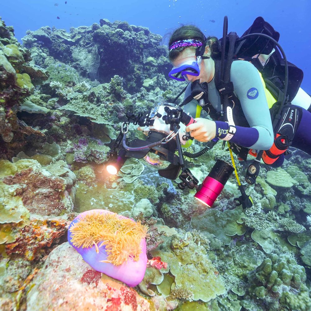 Best of Palau Scuba Diving Liveaboard