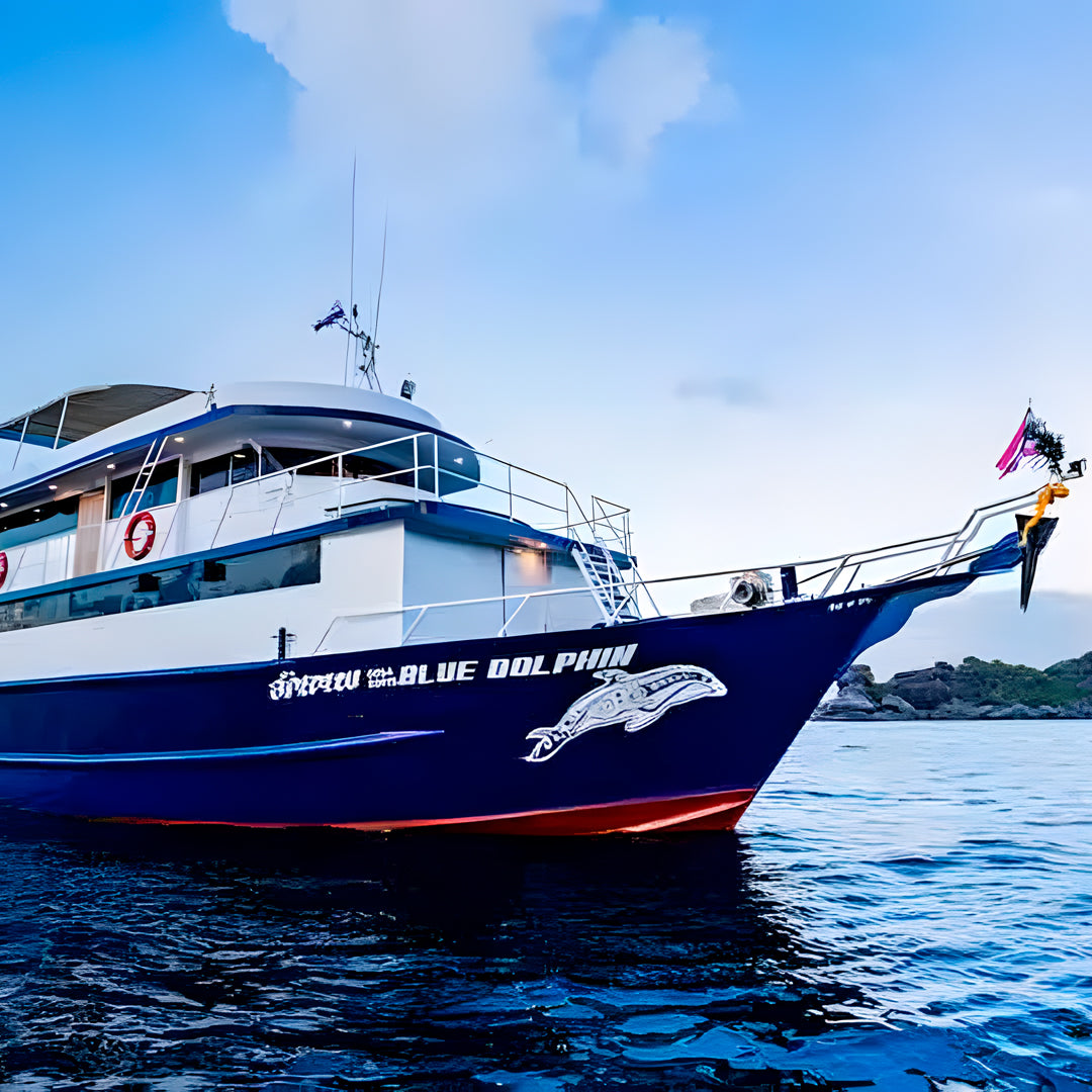 Turtle Conservation Special Similan Liveaboard