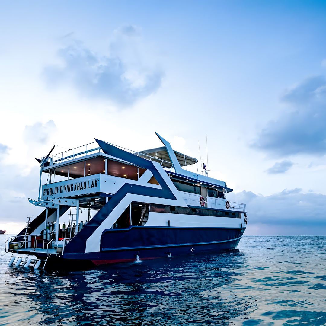 Turtle Conservation Special Similan Liveaboard
