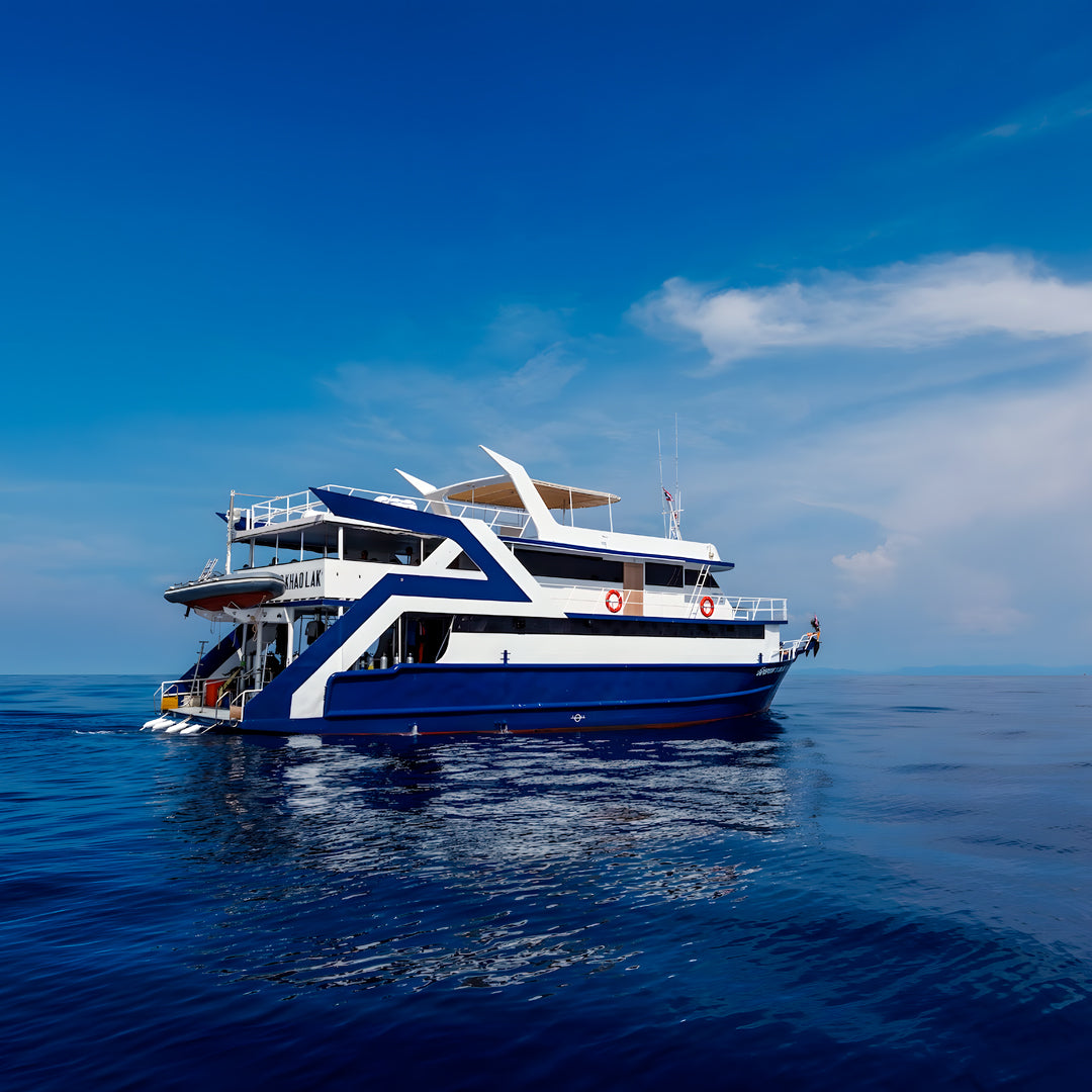 Turtle Conservation Special Similan Liveaboard
