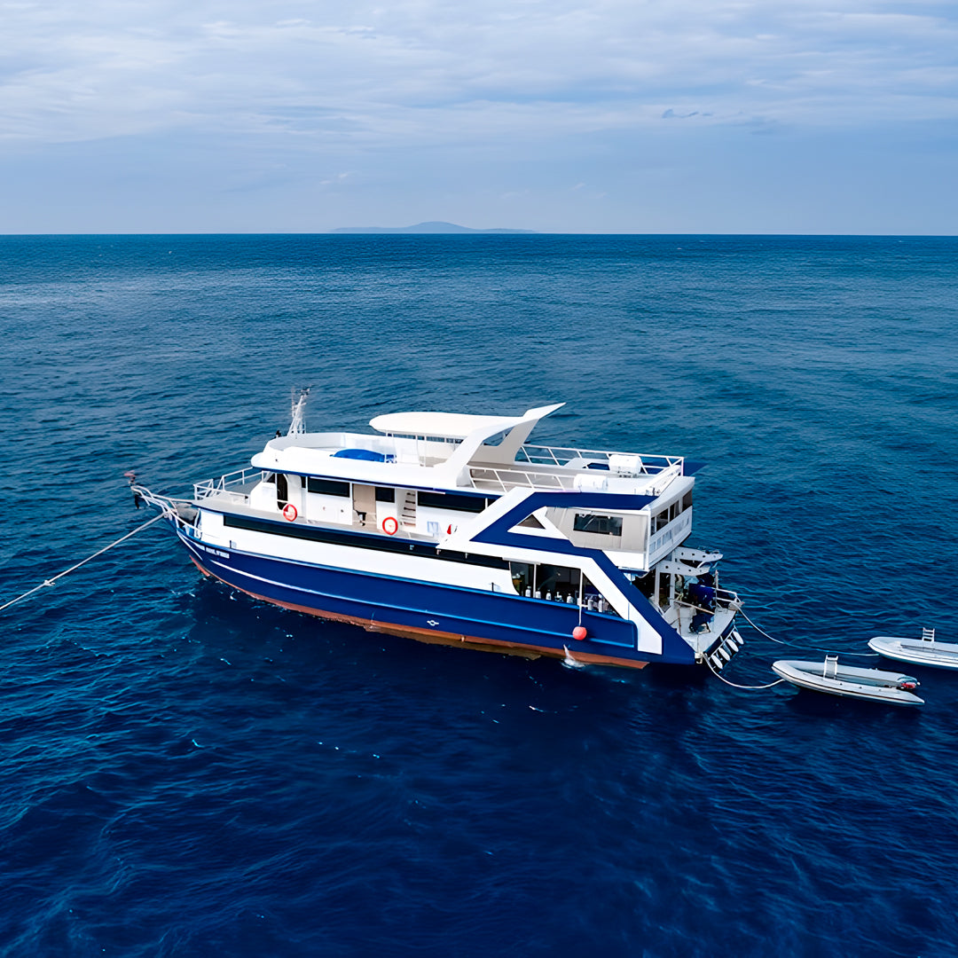 Turtle Conservation Special Similan Liveaboard