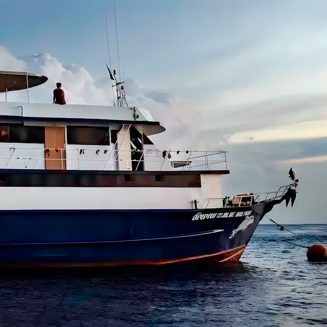 Turtle Conservation Special Similan Liveaboard