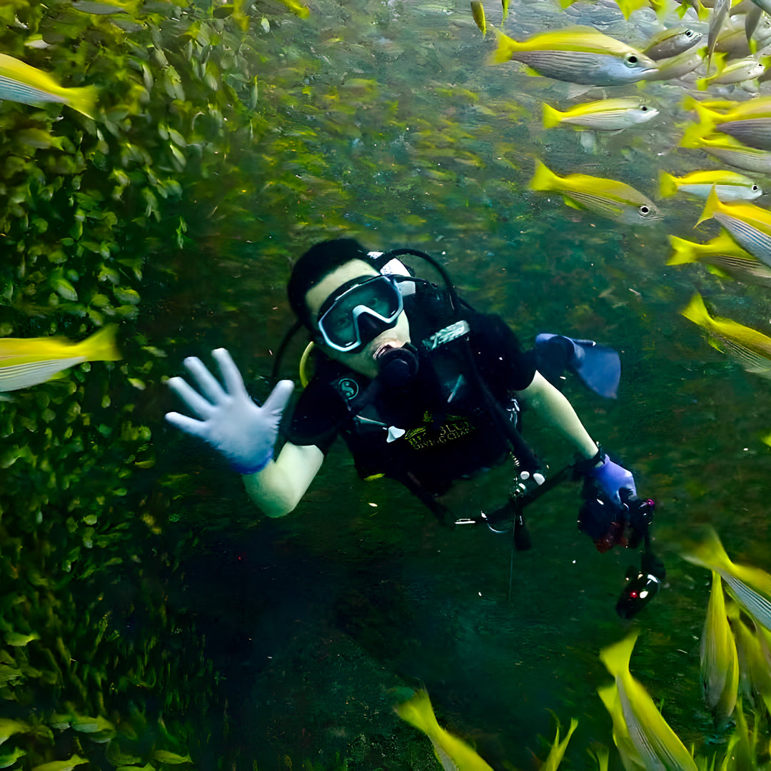 SSI Open Water Diver Course in Koh Tao