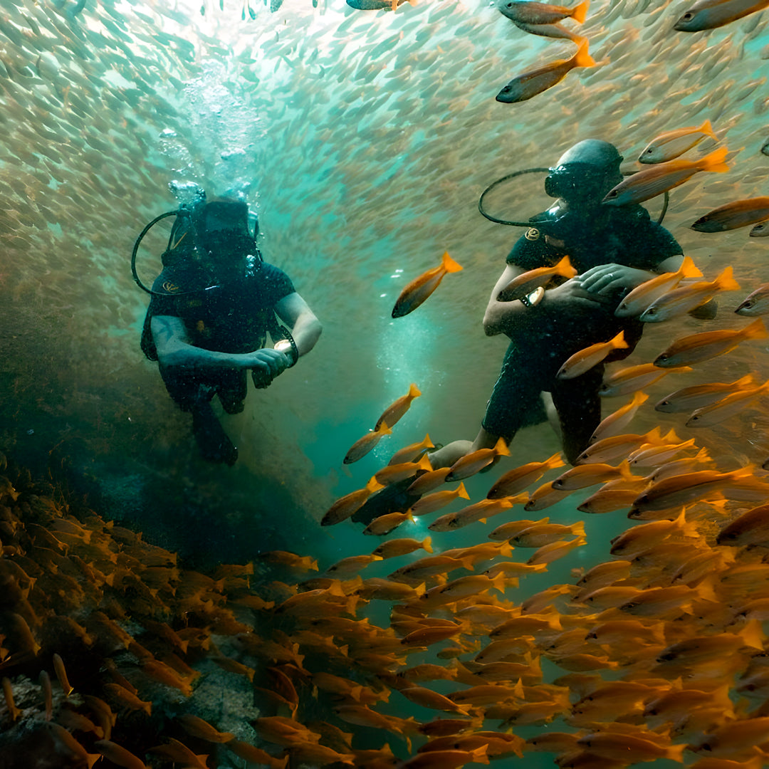 Advanced Adventurer Scuba Diving Course