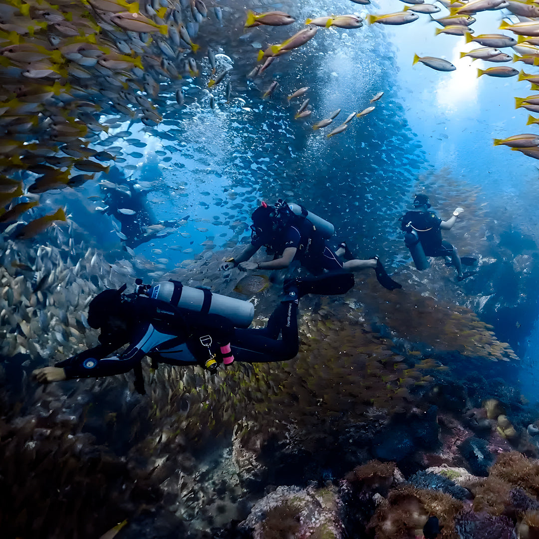 Divemaster Training Course in Koh Tao