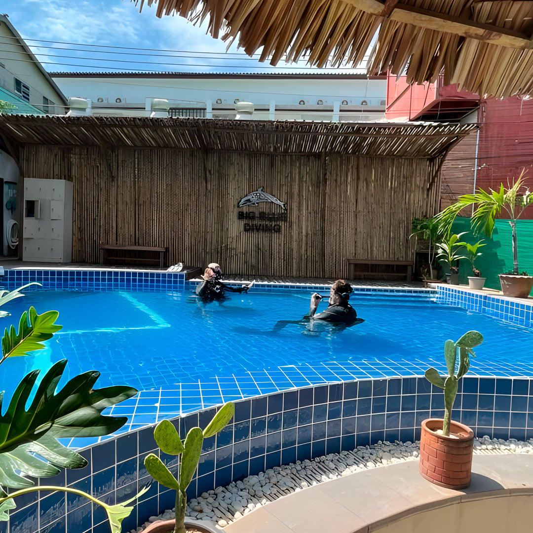 Scuba Refresher Dive in Koh Tao
