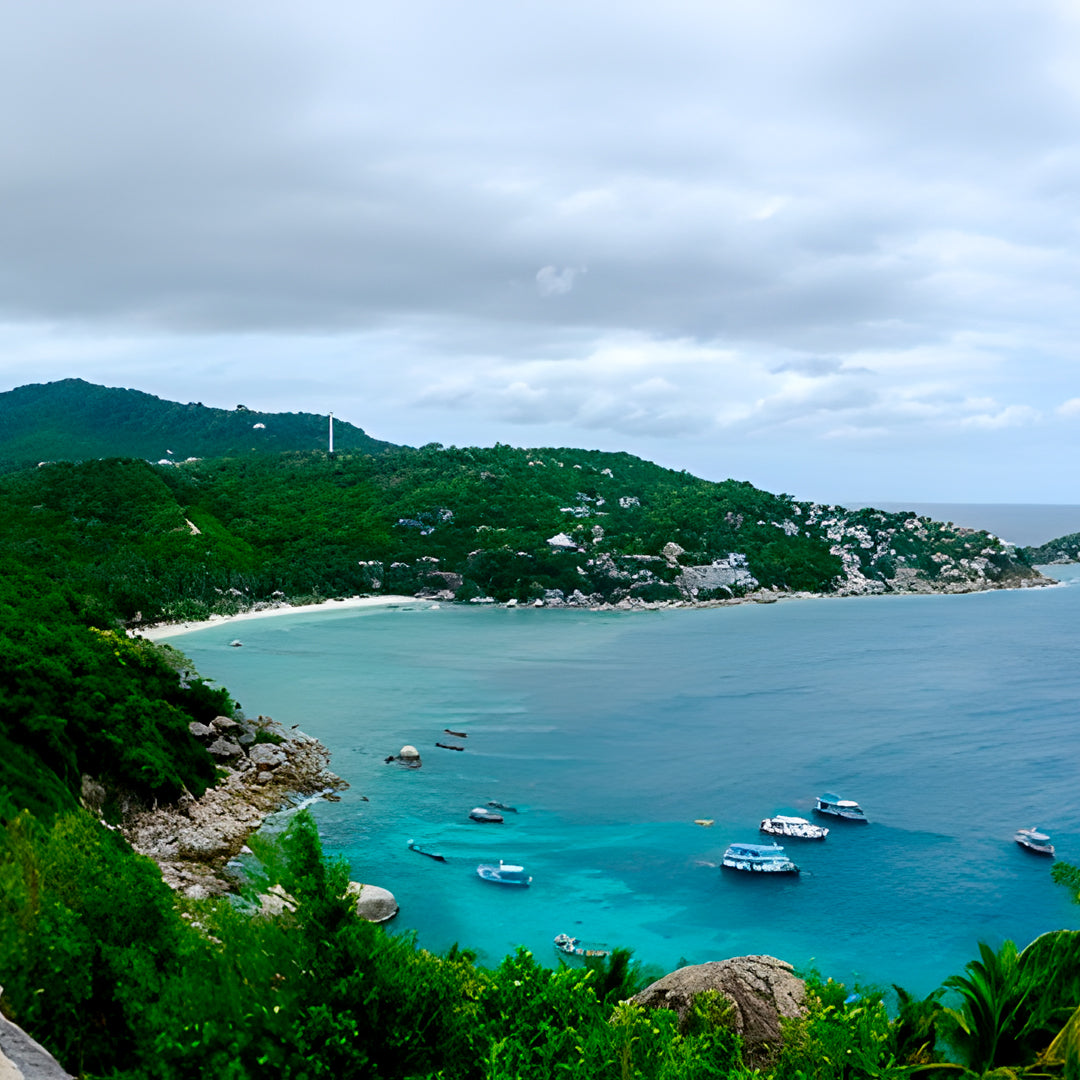 Divemaster Training Course in Koh Tao