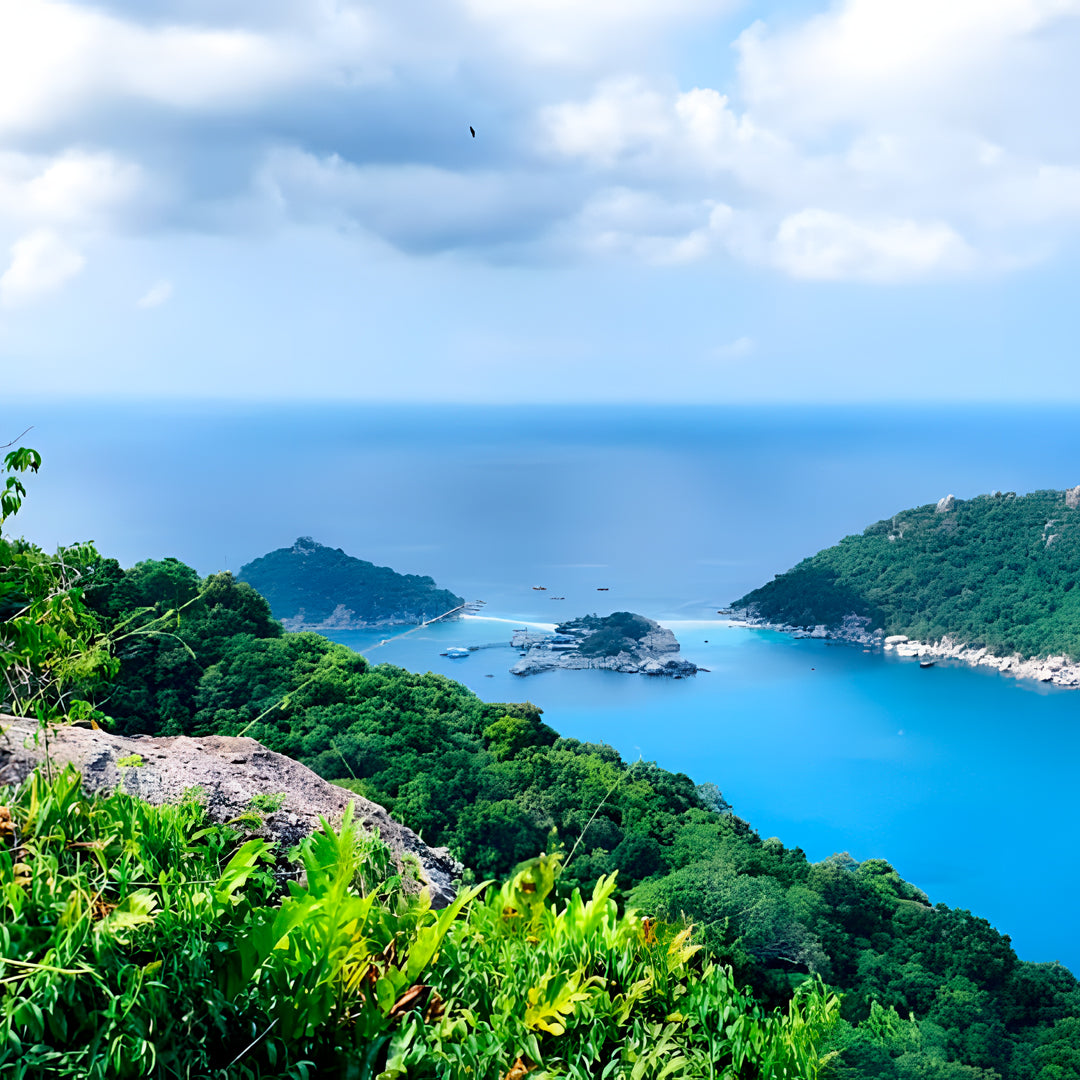 Scuba Diver Course in Koh Tao
