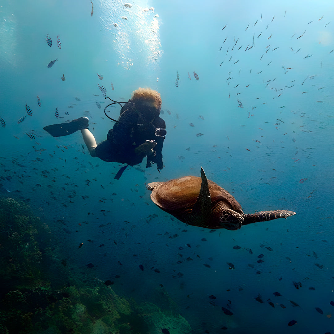 Scuba Diver Course in Koh Tao