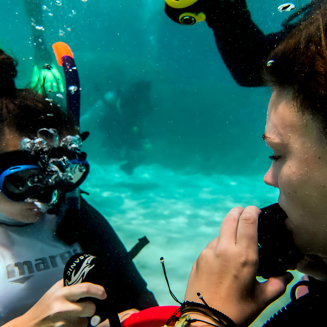 Scuba Refresher Dive in Koh Tao
