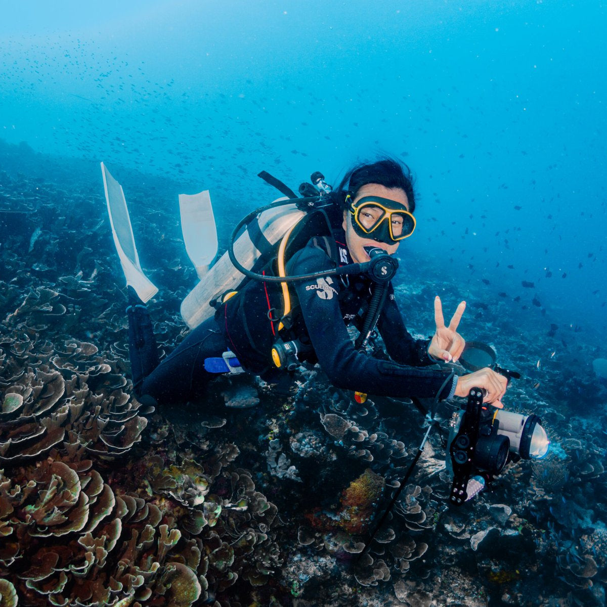 Try Scuba Diving in Bira