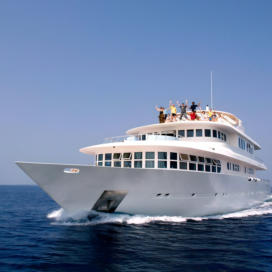 Deep South Tiger Shark Liveaboard