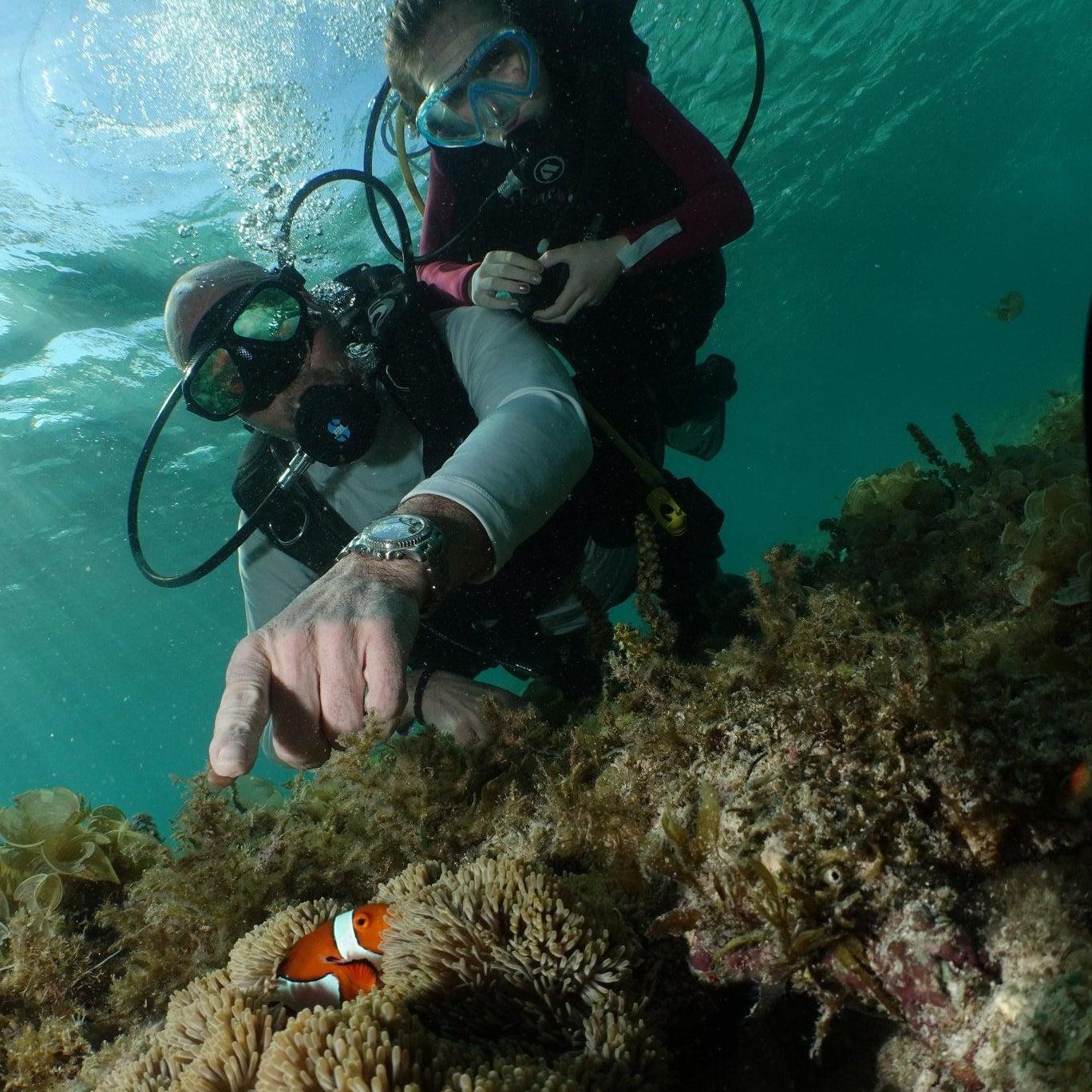 PADI Divemaster Certification Course in Cebu