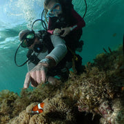 Cebu Scuba Diving Fun Dive