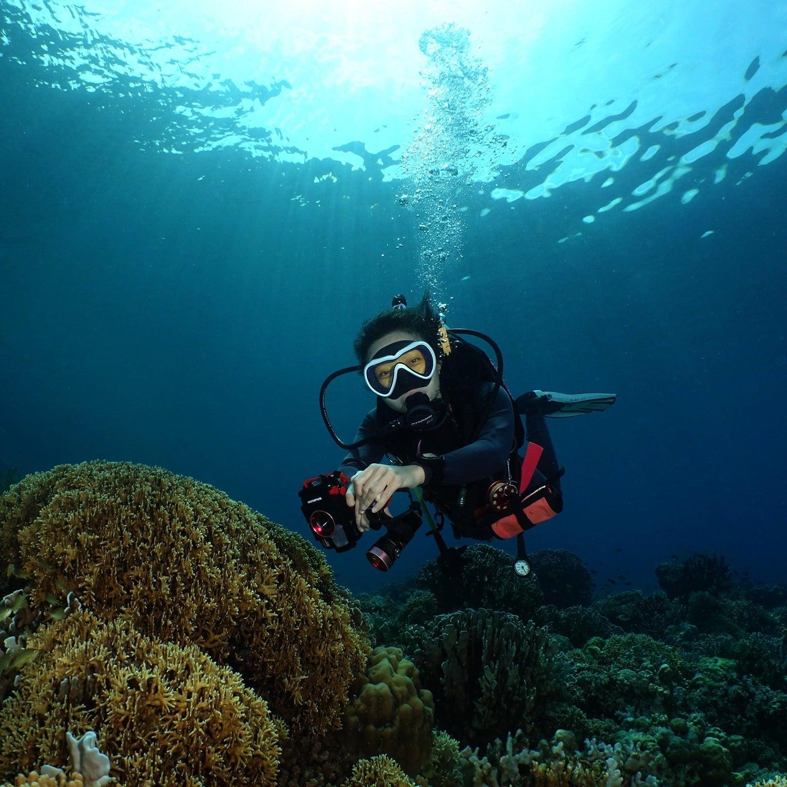 Cebu Scuba Diving Fun Dive