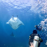 North and Central Komodo Essentials Liveaboard