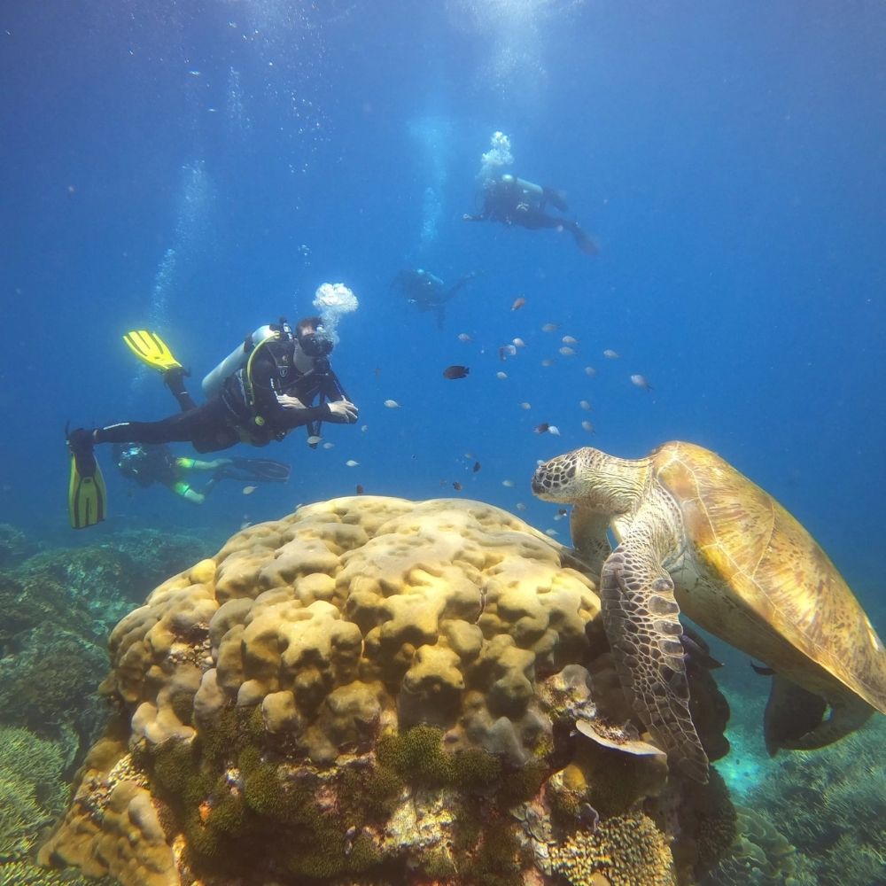 North and Central Komodo Essentials Liveaboard