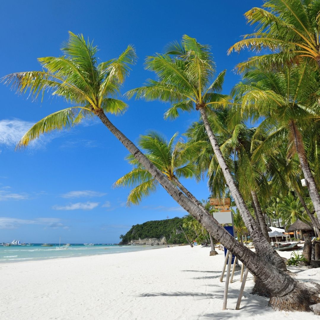 Boracay Basic Freediver Course