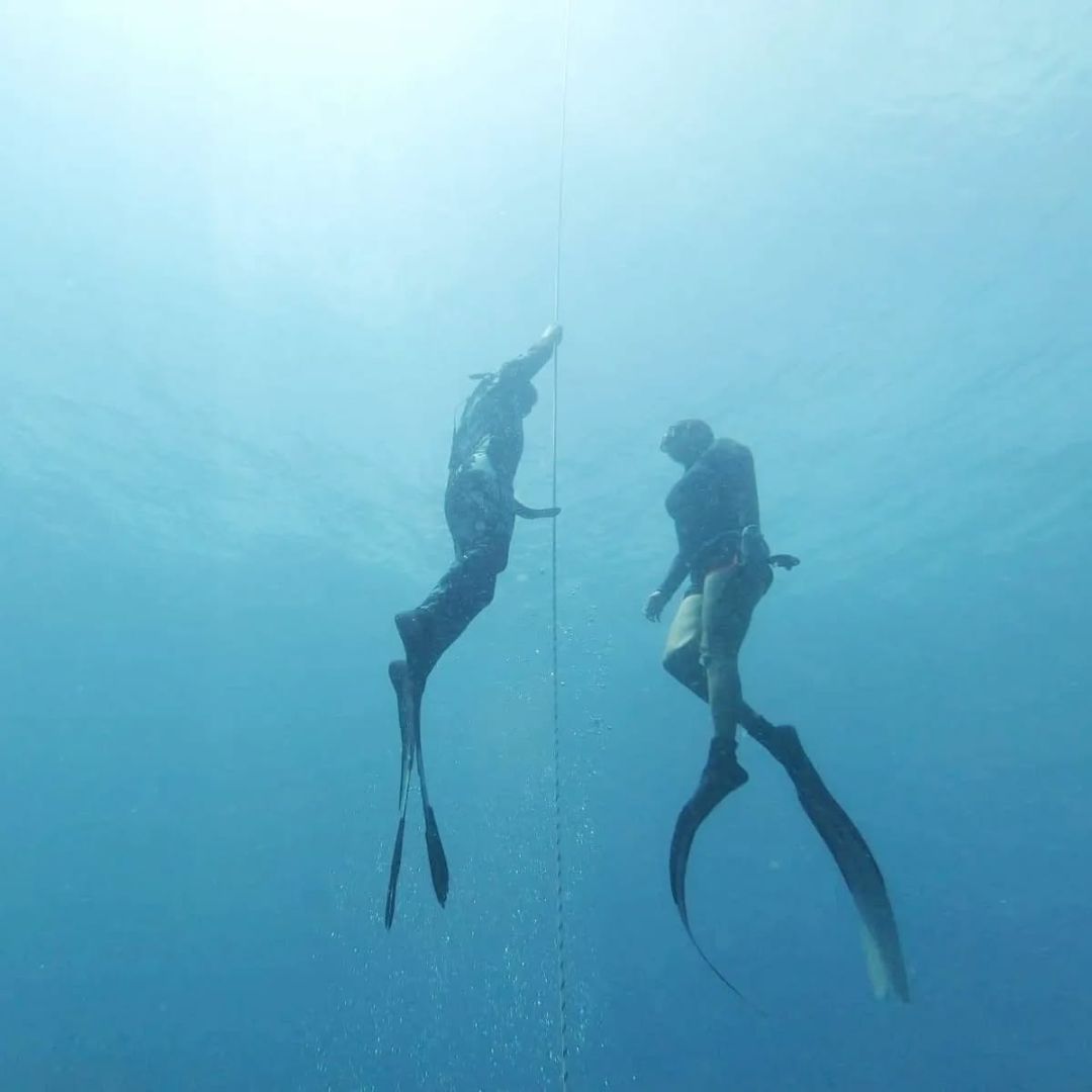 Advanced Freediver Course