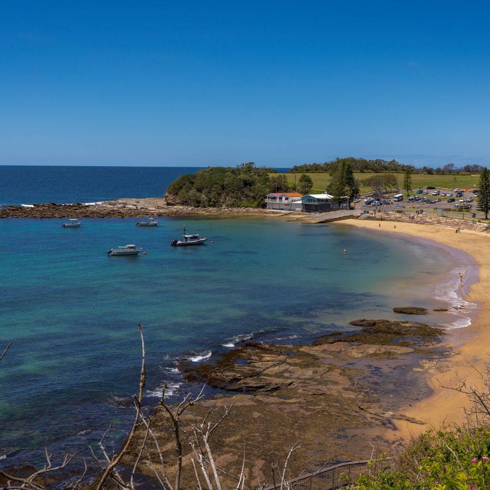 Try Freediving Course