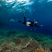 Banda Sea and Spice Islands Liveaboard