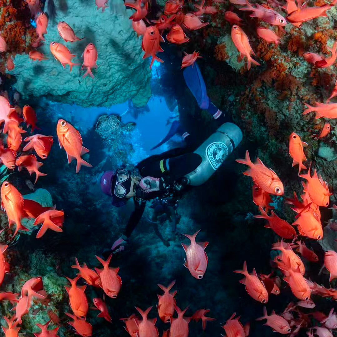 Banda Sea and Alor Island Liveaboard