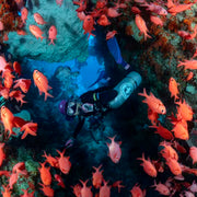 Raja Ampat Central & Northern Liveaboard