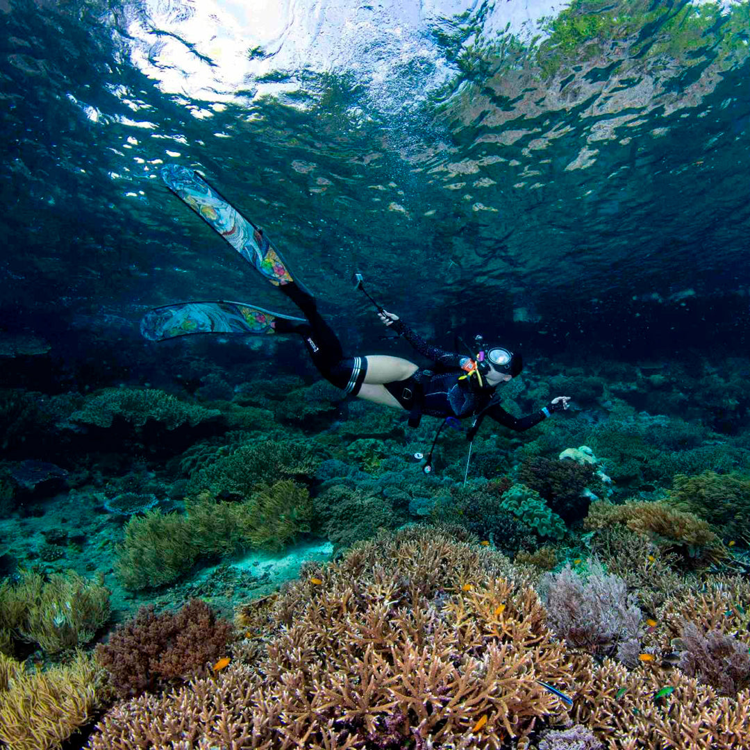 Central & Southern Raja Ampat Liveaboard Expedition