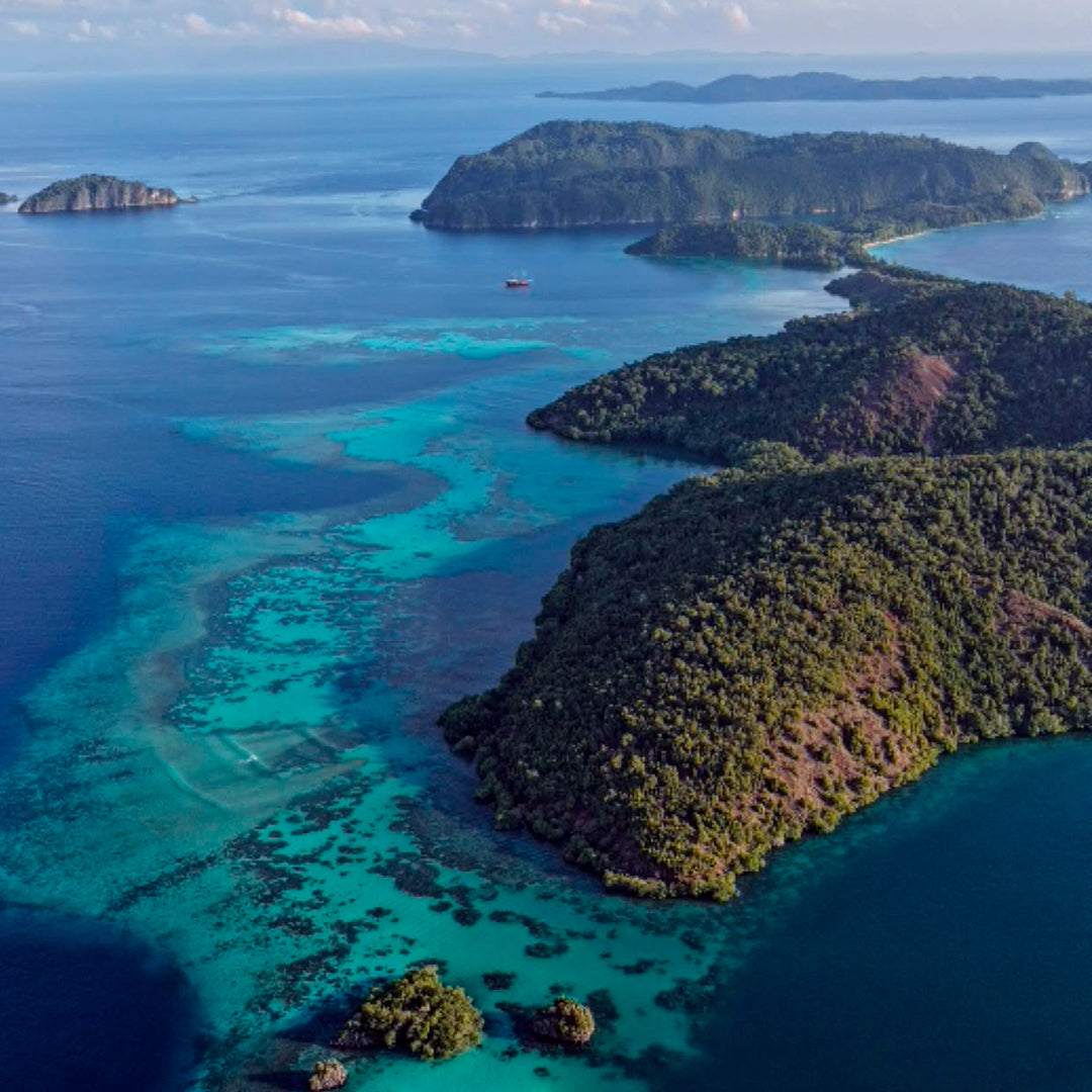Central & Southern Raja Ampat Liveaboard Expedition