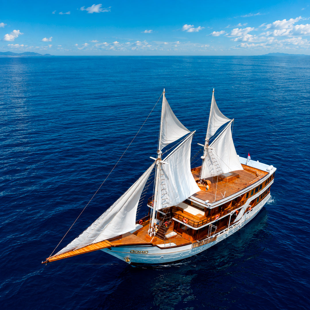 Central & Southern Raja Ampat Liveaboard Expedition