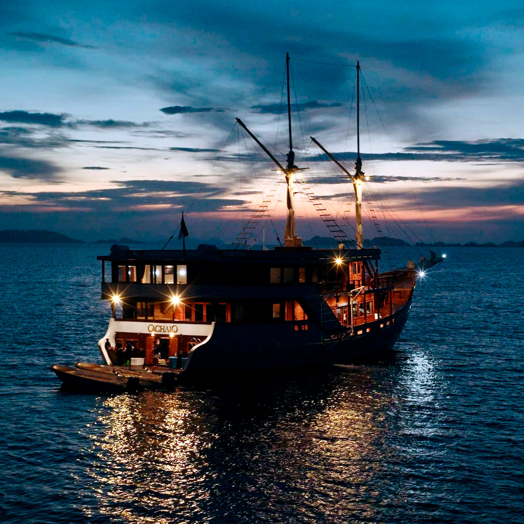 Central & Southern Raja Ampat Liveaboard Expedition