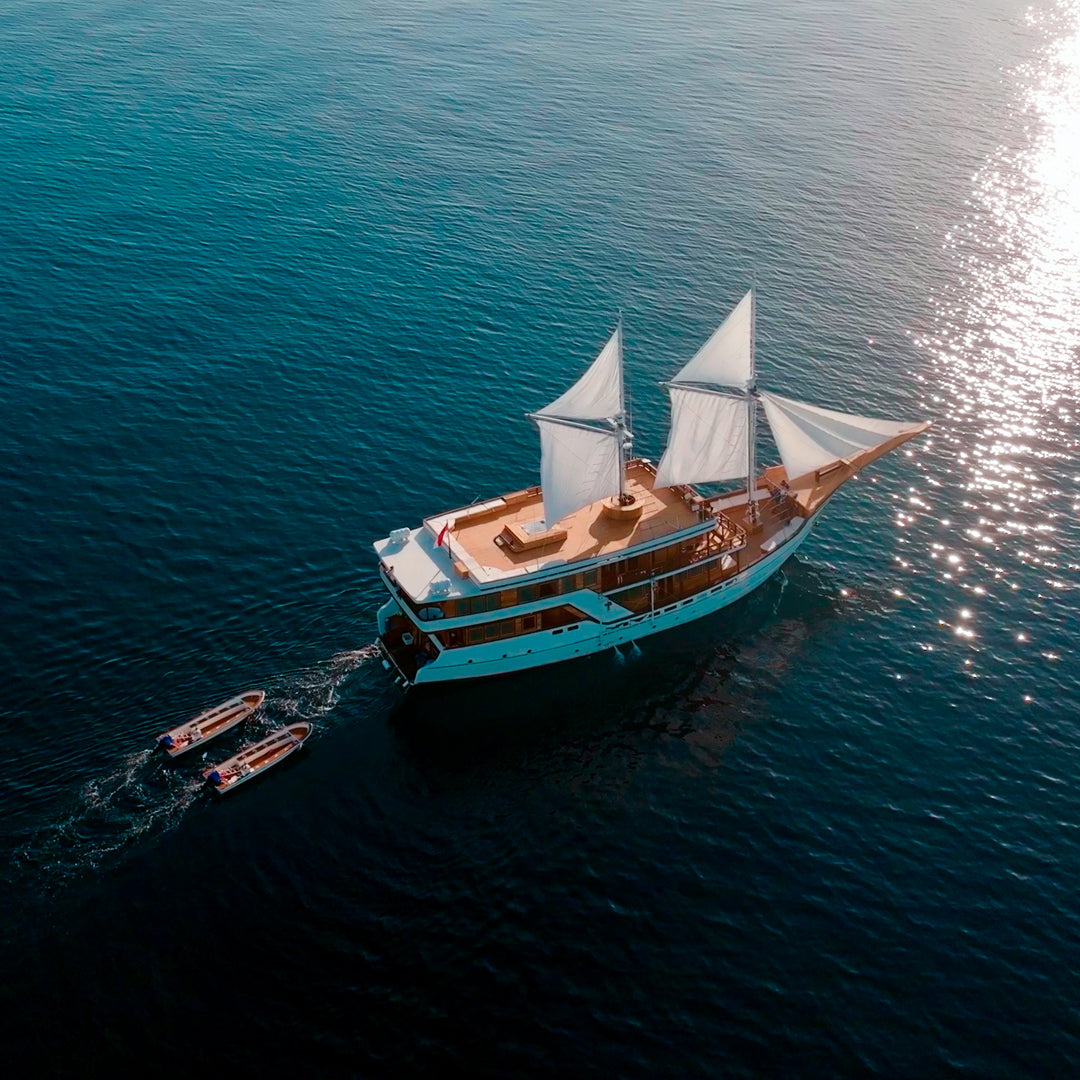 Central & Southern Raja Ampat Liveaboard Expedition