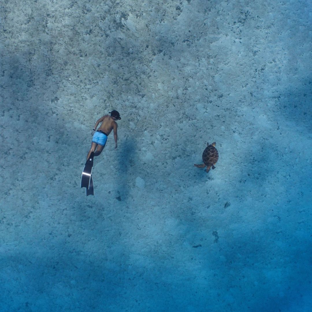 Introduction to Freediving