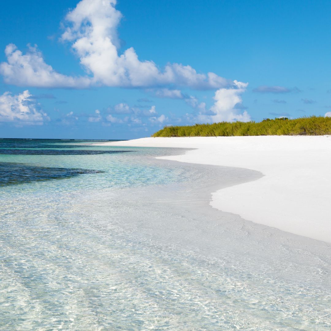 Caribbean Freediving Liveaboard