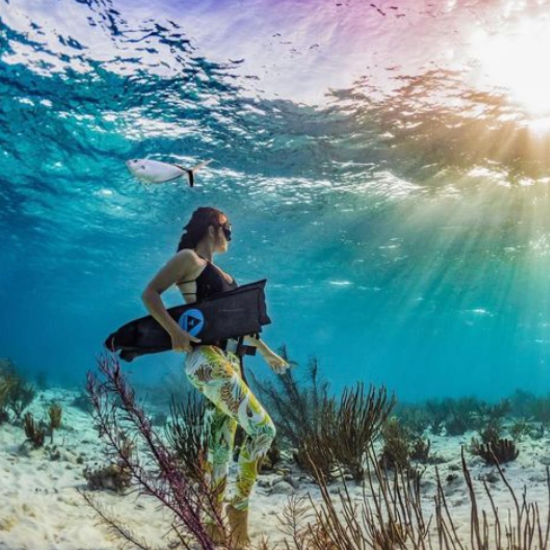 Caribbean Freediving Liveaboard