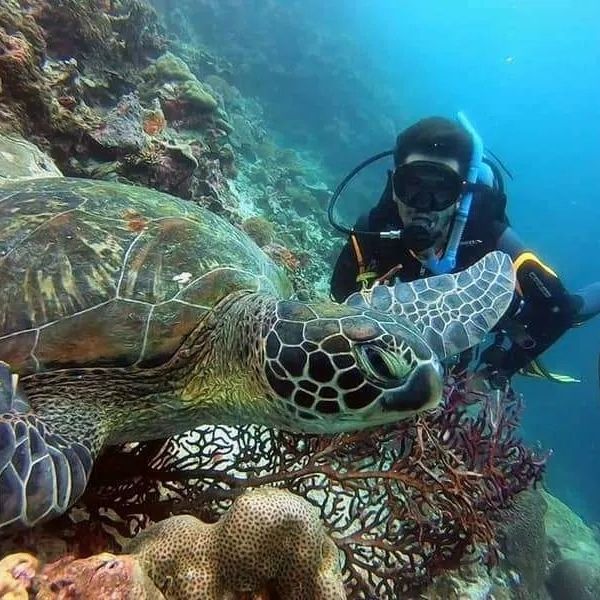 PADI Open Water Scuba Diving Course