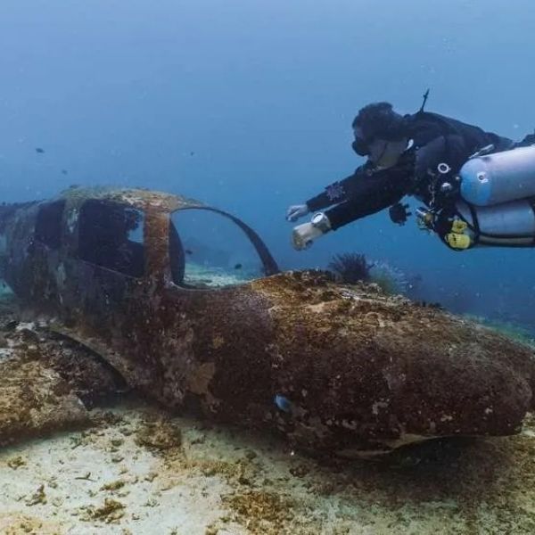 PADI Open Water Scuba Diving Course
