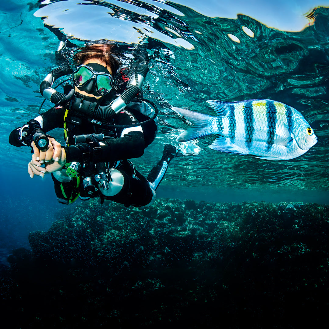 Fish Rock Cave Underwater Tunnel Dive Trip
