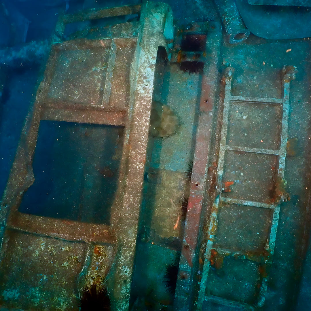 Fish Rock Cave Underwater Tunnel Dive Trip